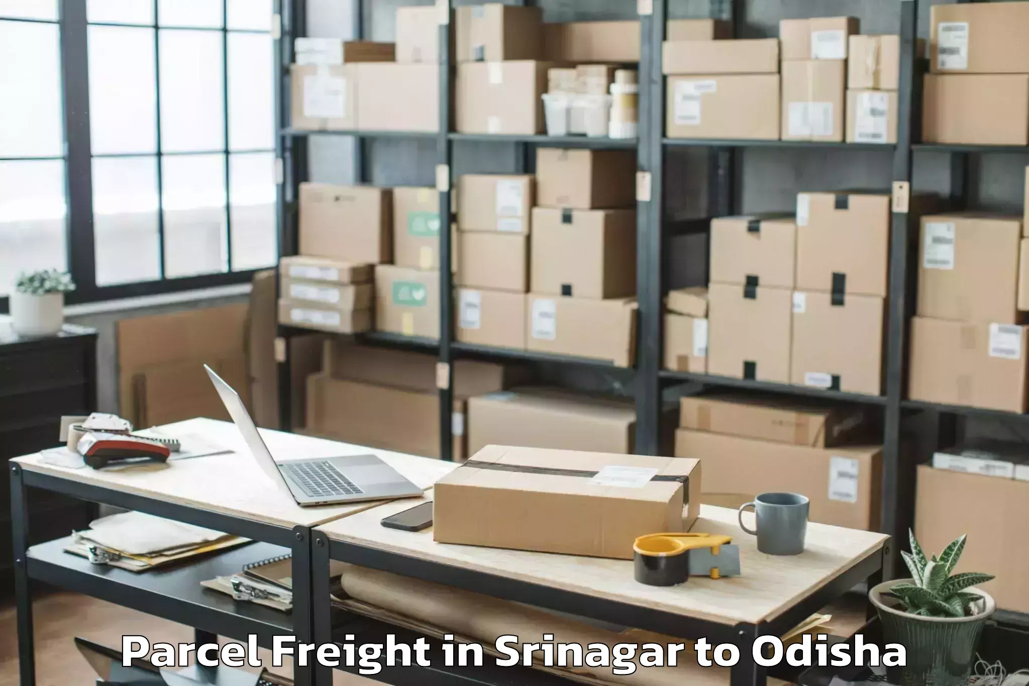 Affordable Srinagar to Khandapada Parcel Freight